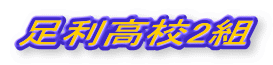Z2g