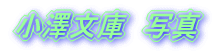 VɁ@ʐ^