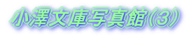 VɎʐ^فiRj