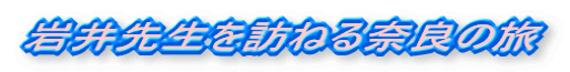 搶K˂ޗǂ̗